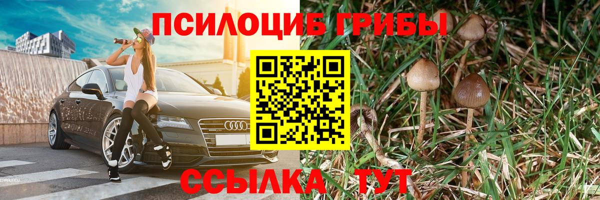 Галлюциногенные грибы прущие грибы Орск