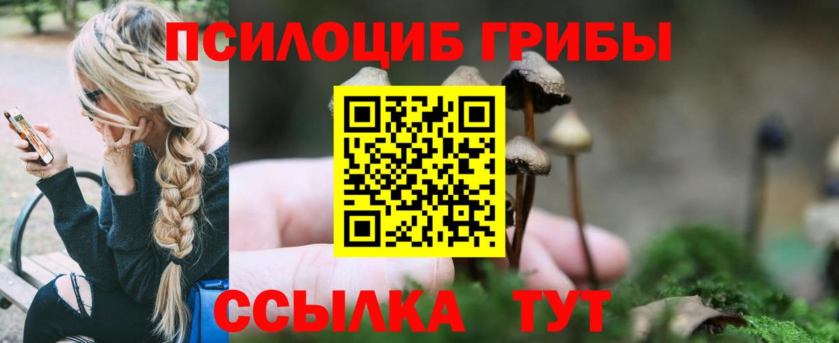 Галлюциногенные грибы прущие грибы  купить закладку  Галлюциногенные грибы Magic Shrooms  Орск  Вход с VPN 