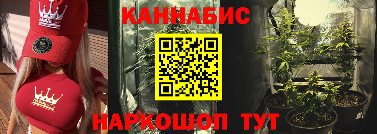 Бошки Шишки сатива Орск
